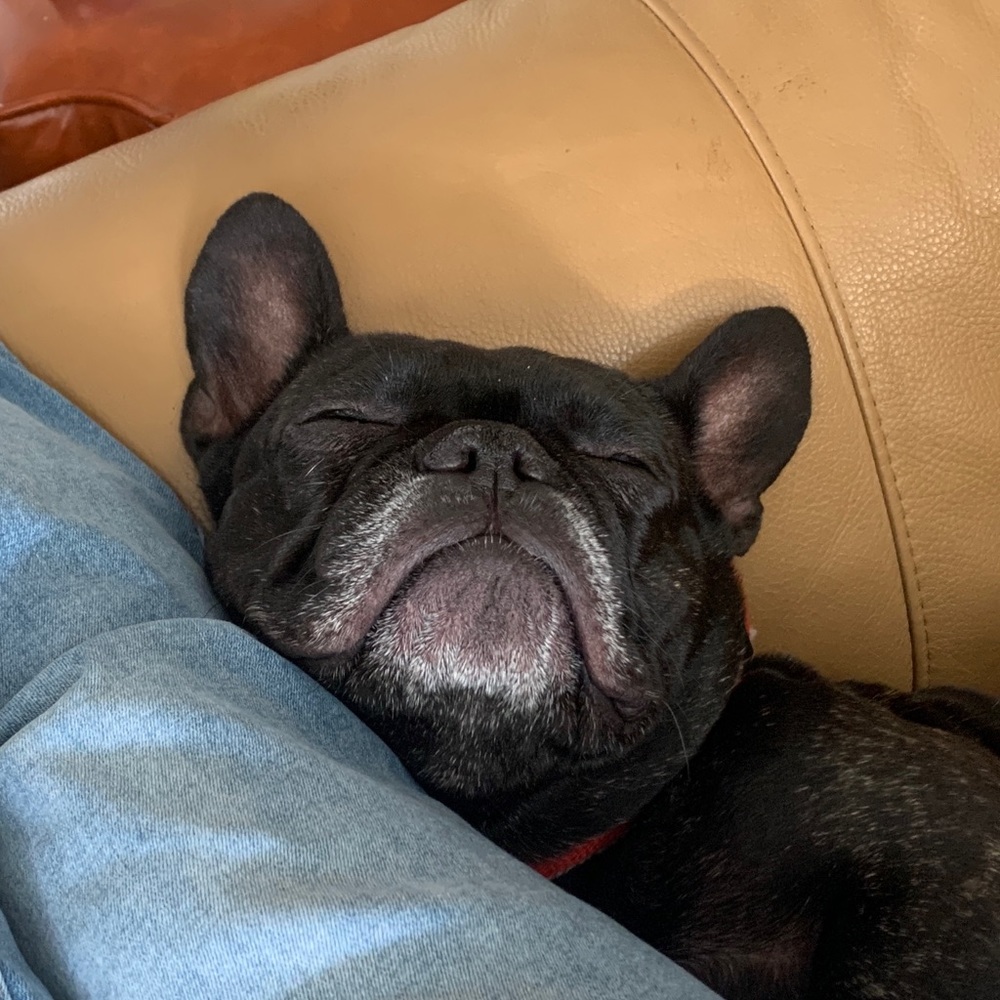 Meet your Posher, Mary